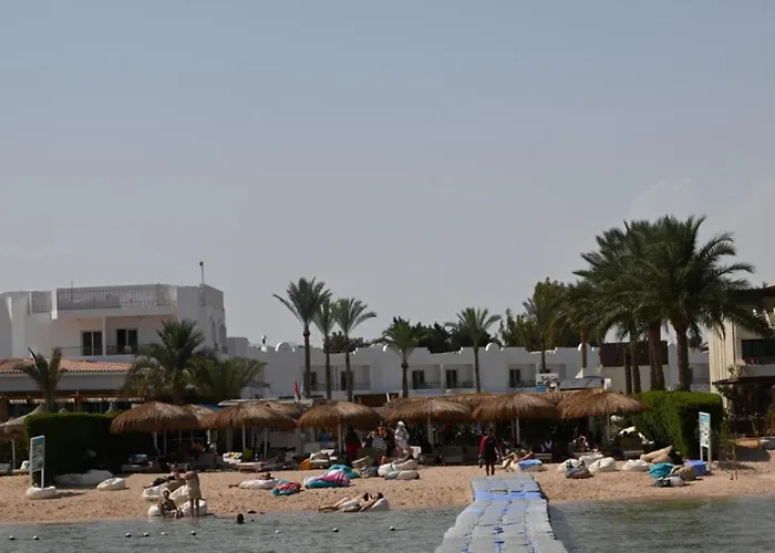 Hills Elite